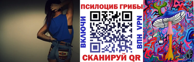 блэк спрут сайт  Тайга  Псилоцибиновые грибы MAGIC MUSHROOMS 
